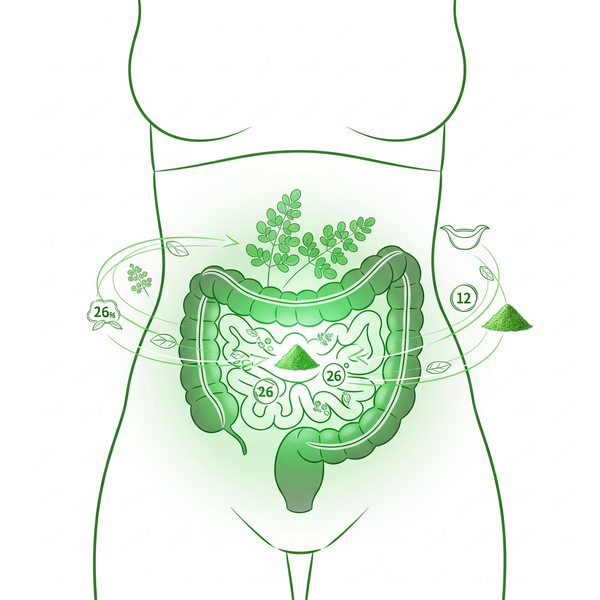 Why Every Woman Should Add Moringa to Her Daily Routine