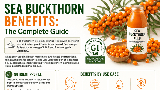 Sea Buckthorn Benefits: The Complete Guide
