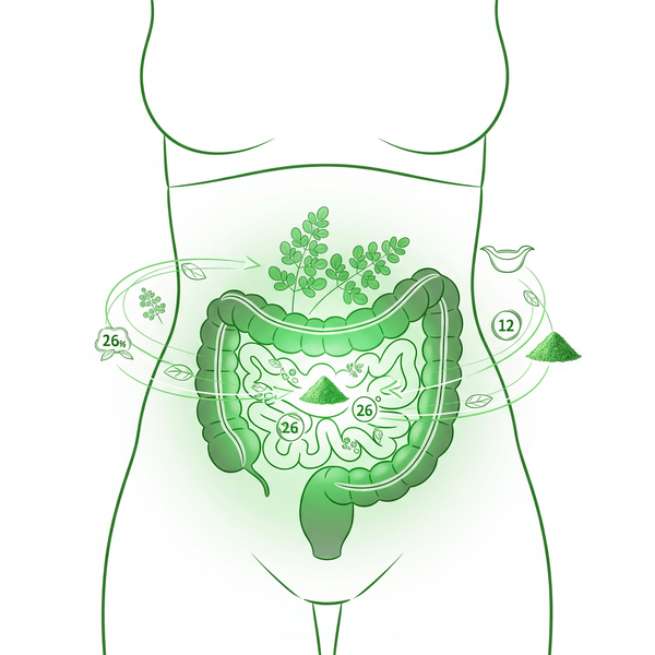Why Every Woman Should Add Moringa to Her Daily Routine