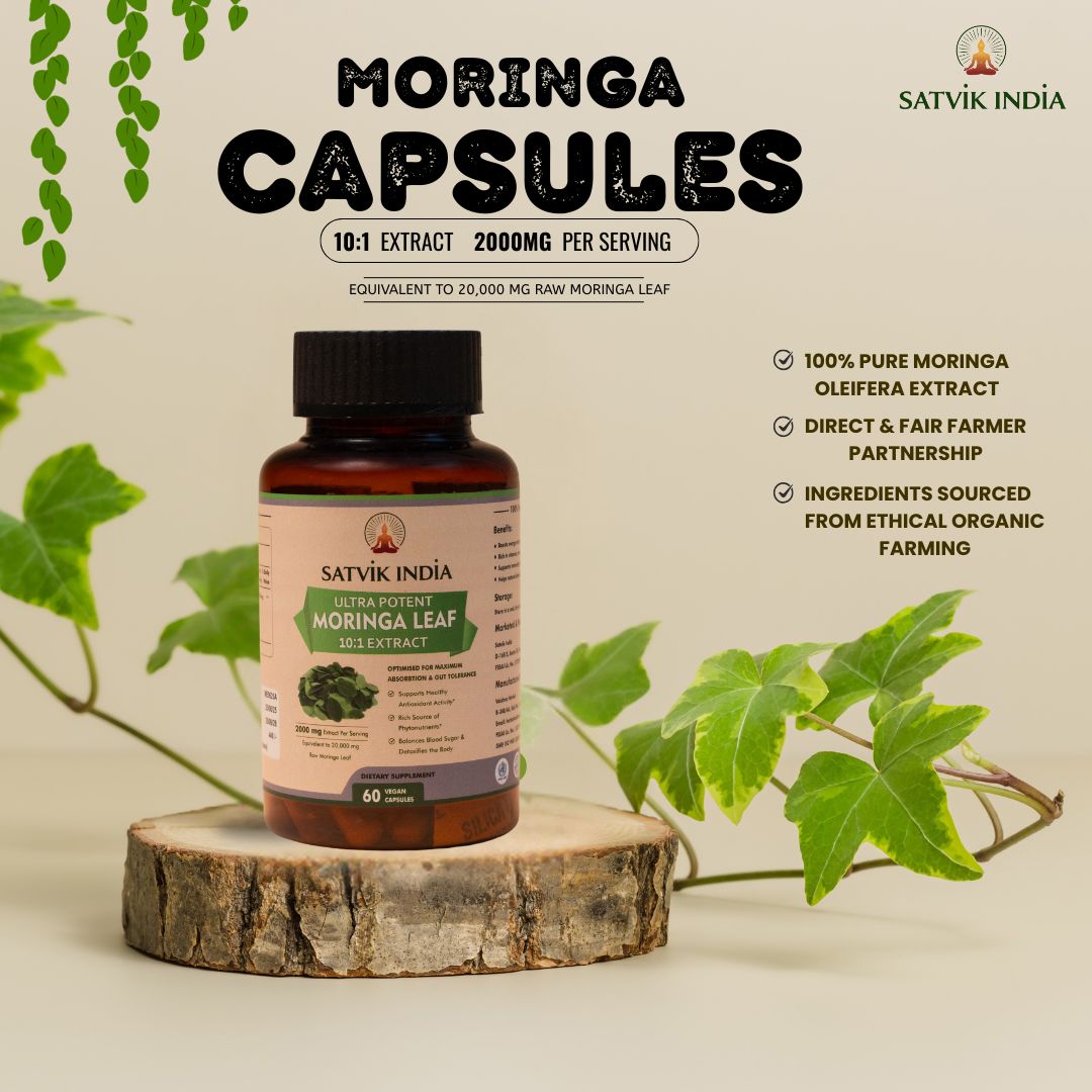 Moringa Capsules 10:1 Extract – High-Potency Plant Nutrition for Energy, Immunity & Hormonal Balance | Satvik India